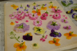 flower_art